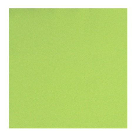 SERVIETTE DOUBLE POINT 38X38