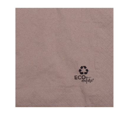 Serviette 30x30 2 plis x 100