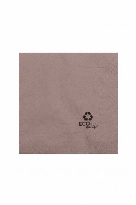 Serviette 30x30 2 plis x 100