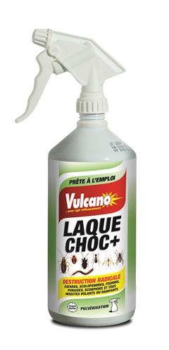 Laque Choc DP 1L Vulcano